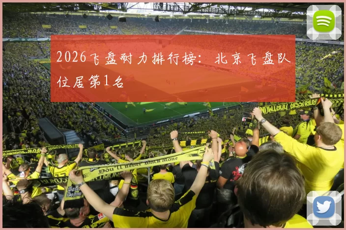 2026飞盘耐力排行榜：北京飞盘队位居第1名