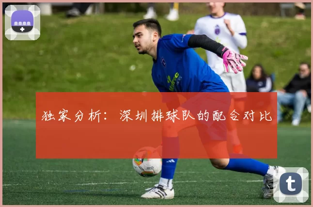 独家分析：深圳排球队的配合对比