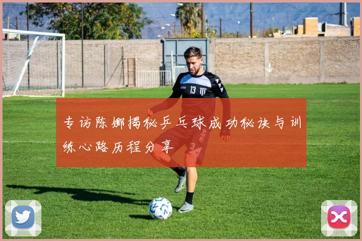 专访陈娜揭秘乒乓球成功秘诀与训练心路历程分享