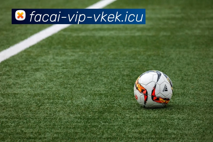 乐鱼体育平台生态图