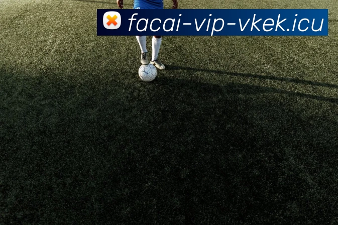 乐鱼体育全站App